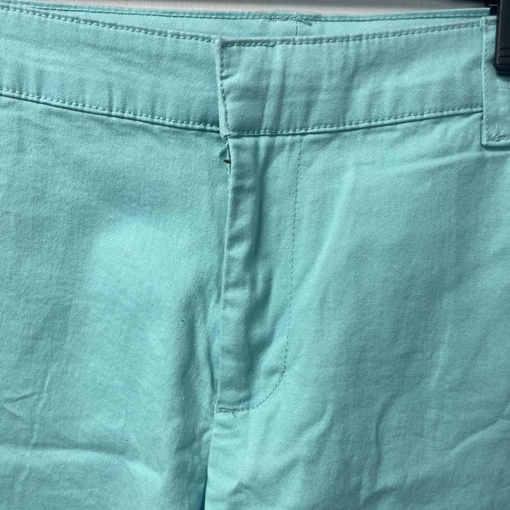 Lane Bryant Blue Turquoise  Shorts - 20-NWT - Picture 6 of 11
